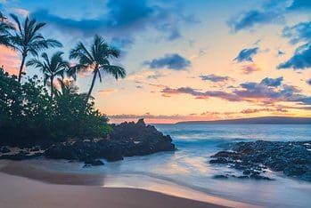 하와이에서해야 할 밝은 것들